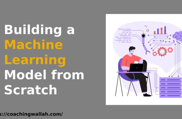 Building a Machine Learning Model from Scratch